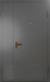 Фото двери «Техническая дверь №6 полуторная» в Туле
